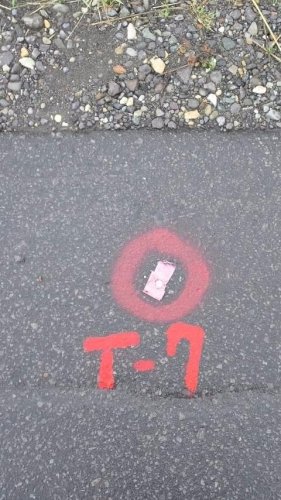 これは