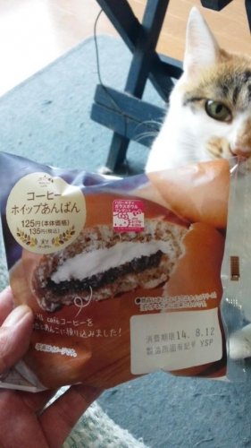 やっぱり