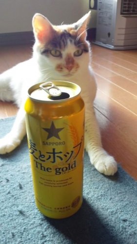さっちゃん