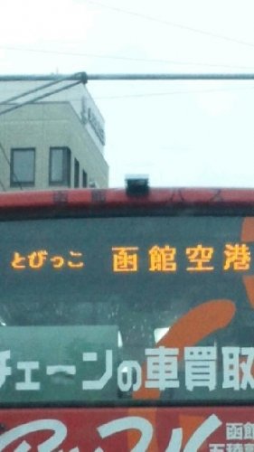 食べたくなるバス