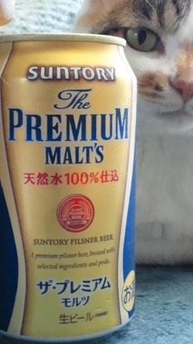 プレミアムモルツ