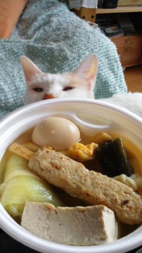 おでんの季節