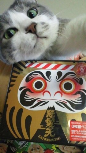 怒髪天