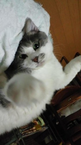 君に