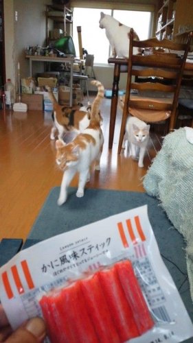 みんな