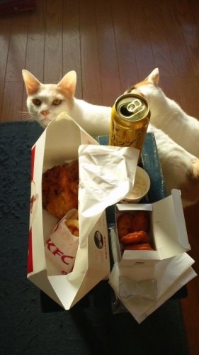 へんたっきー