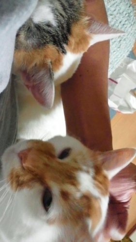 今