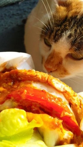 生ベーコンエッグバーガー