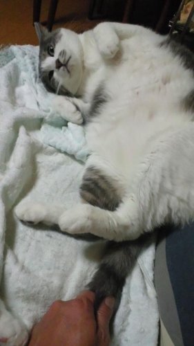 悪代官の屋敷