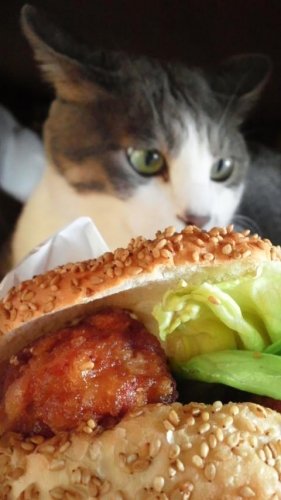 チャイニーズチキン