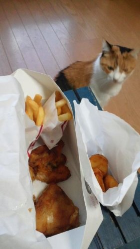 今日テンションが下がったこと