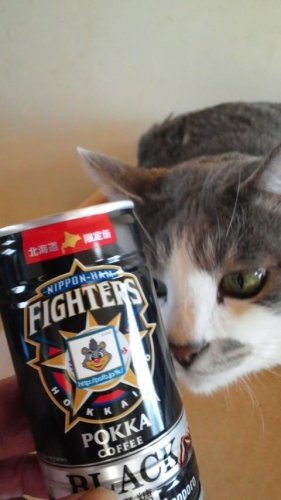 ファイターズ