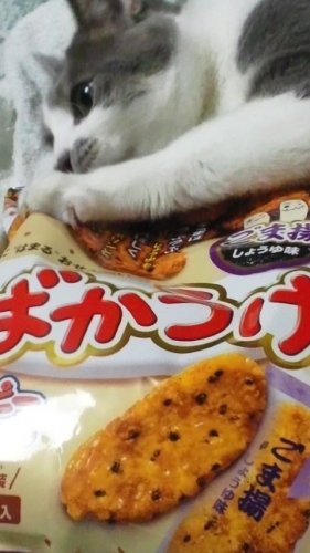 ばかうけ