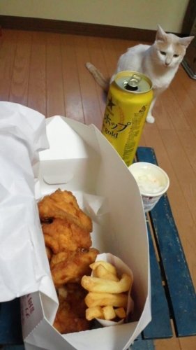 リベンジ