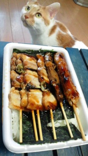 やきとり弁当