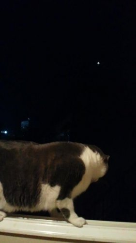 皆既月食