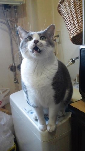 カーナビラジオで