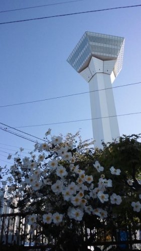 五稜郭タワー