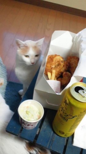 ケンタッキー