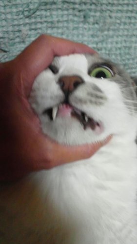 必殺