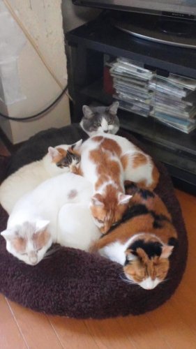 みんなで