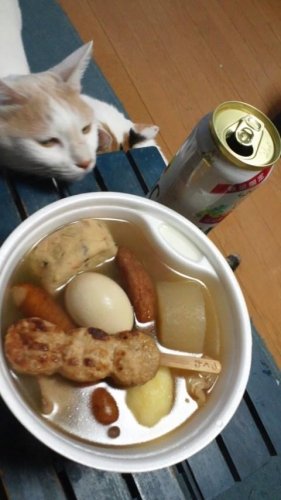 おでん