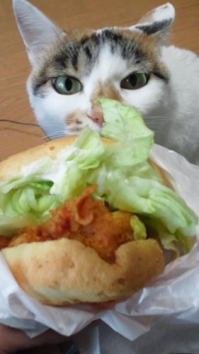 チキンフィレサンド