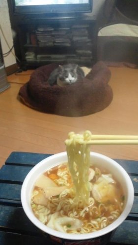 小腹が減ったら