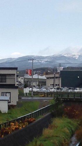 初雪