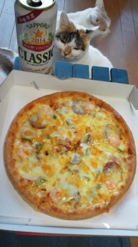 寒くて外出したくないから