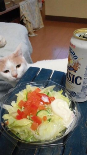 野菜