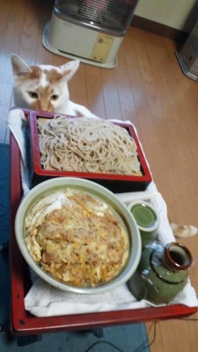 がっつりめし