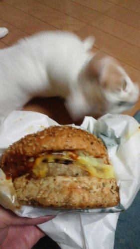 チーズバーガー