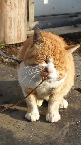 微笑みの