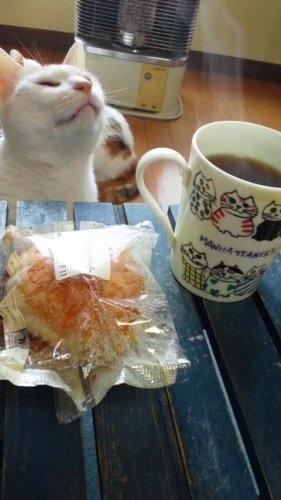 コーヒーの香りに誘われて