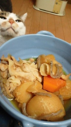 肉じゃがの匂いに誘われて