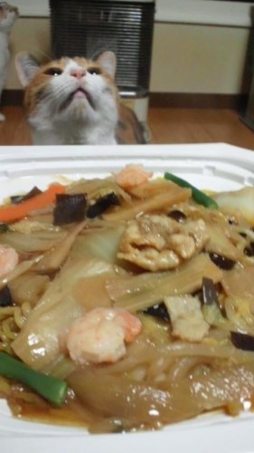 あんかけ焼きそばの匂いに誘われて