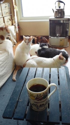 コーヒータイム