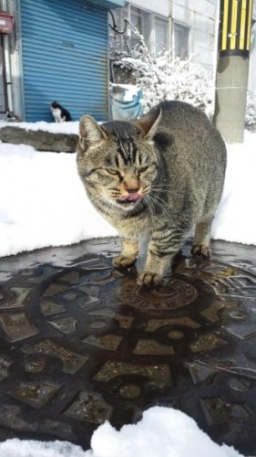 シムラ