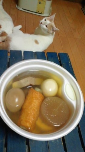 おでんでんでん