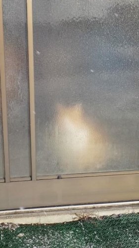 曇りガラスの向こうは