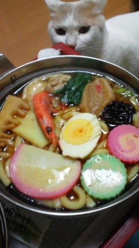 鍋焼きうどん