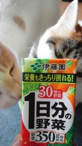 健康の源
