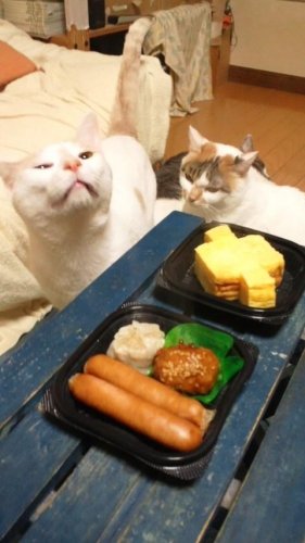 地味な