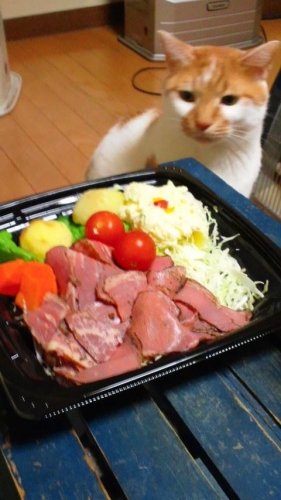 イブめし