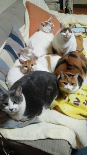 あけまして