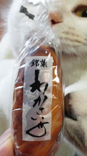 わかさいも