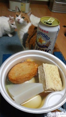 おでん
