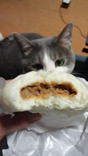 肉まん
