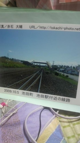 フォト展示